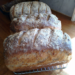 breads